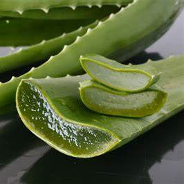 Strictly Professional - Aloe Vera Gel 500ml