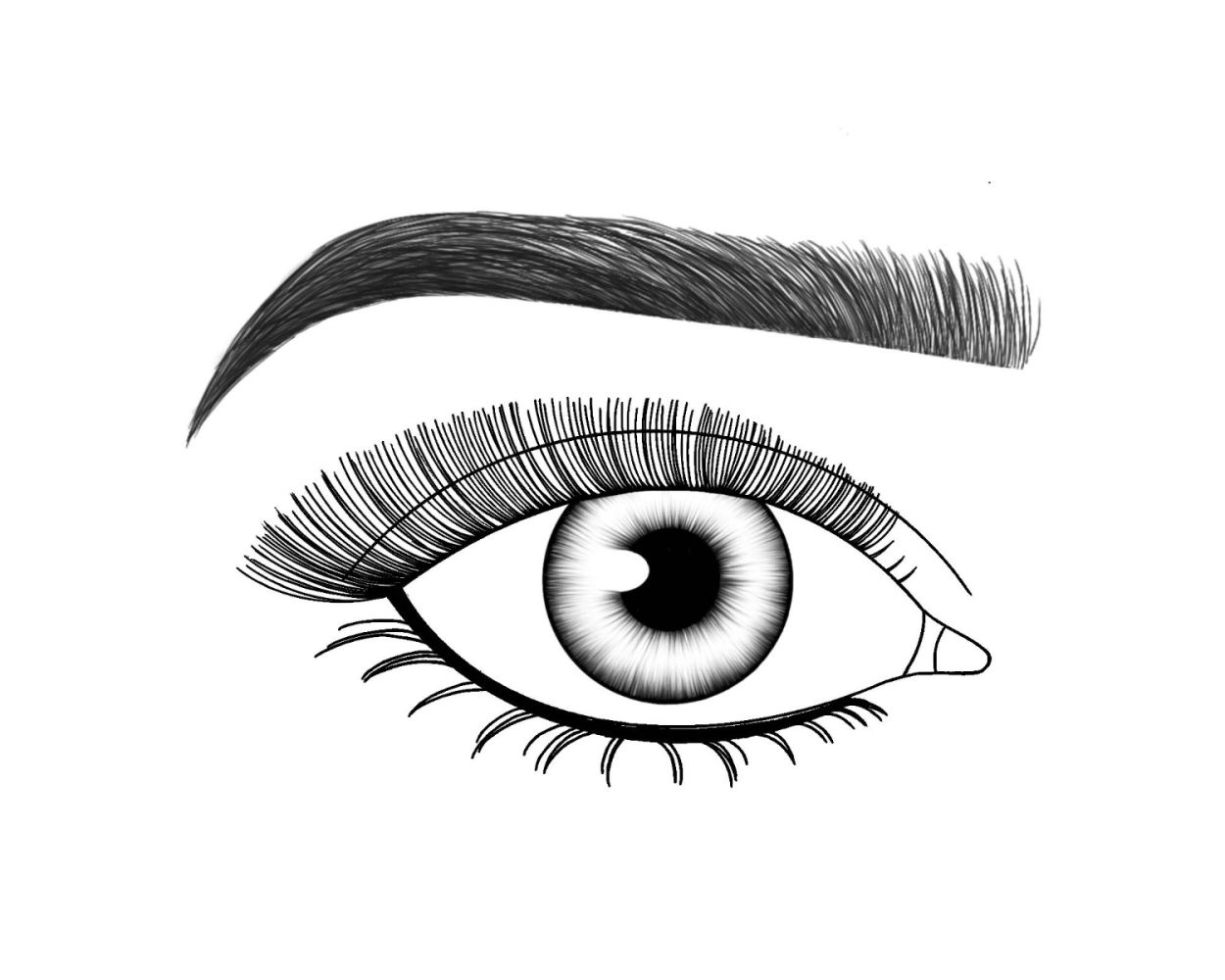 Lash FX Press & Go Pre-Glued Lashes - London