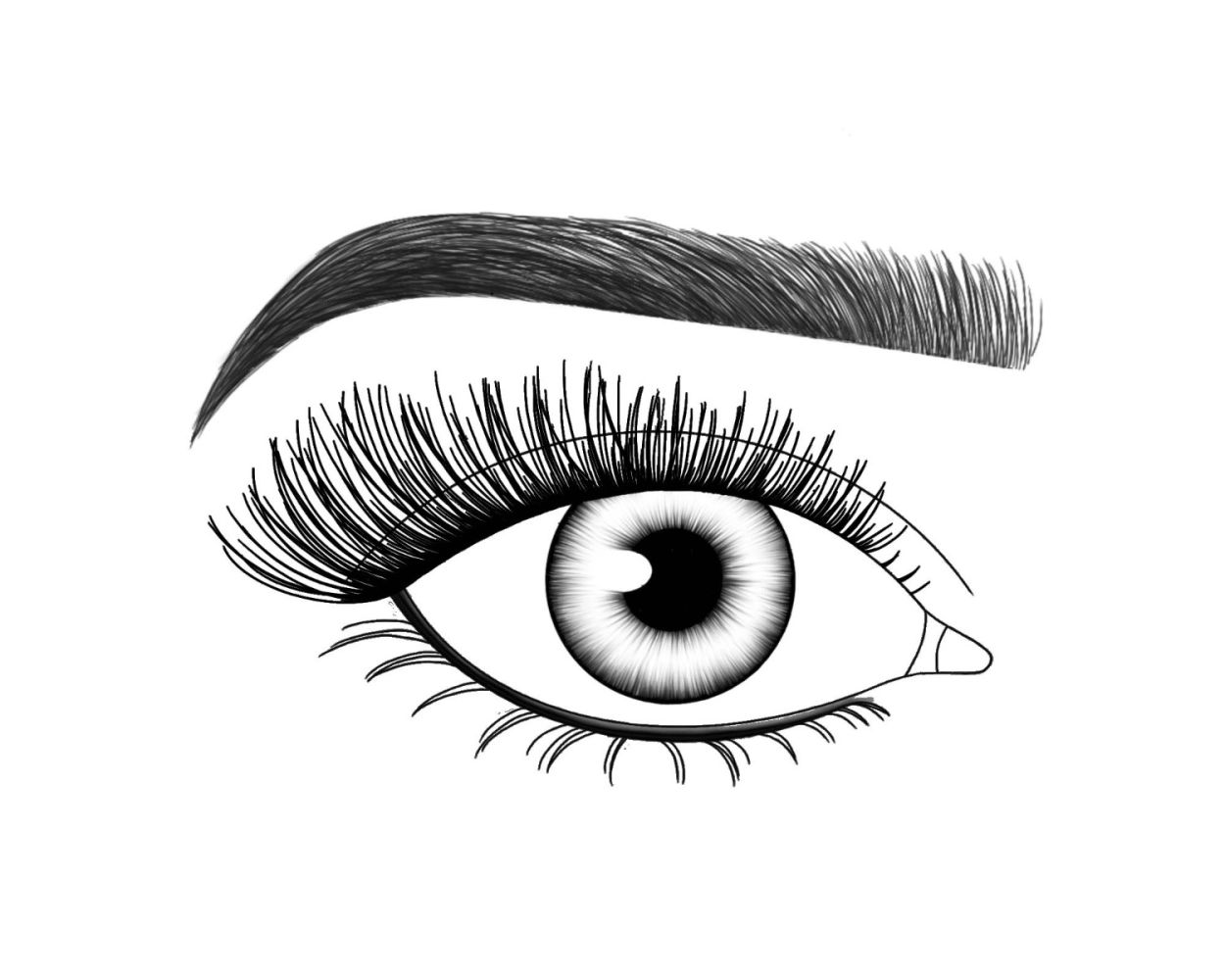 Lash FX Press & Go Pre-Glued Lashes - Milan