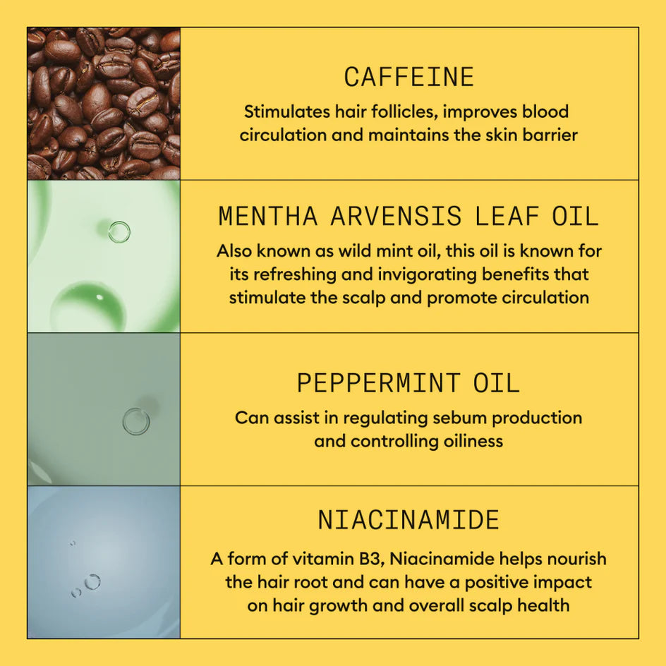 Chart detailing the benefits of caffeine, mentha arvensis leaf oil, peppermint oil, and niacinamide on hair and scalp health. For Nioxin System 1