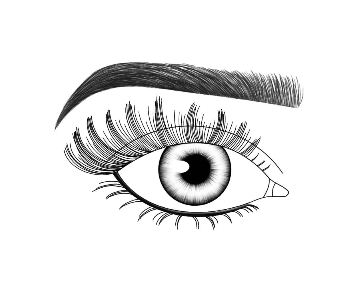 Lash FX Press & Go Pre-Glued Lashes - Palma