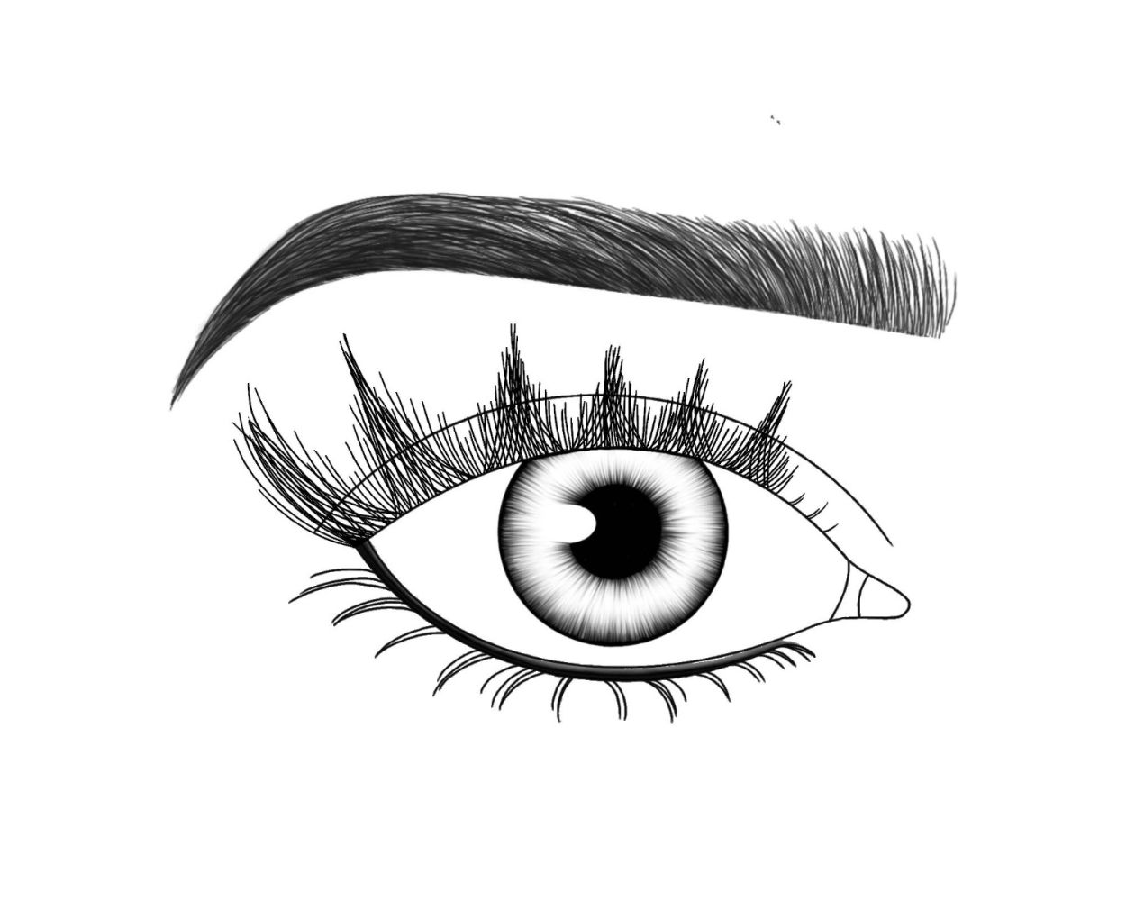 Lash FX Press & Go Pre-Glued Lashes - Paris