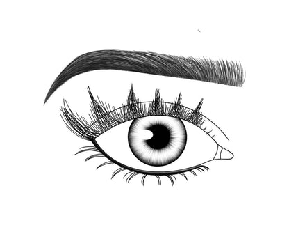 Lash FX Press & Go Pre-Glued Lashes - Paris