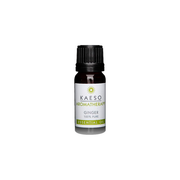 Kaeso - Aromatherapy Essential Oil - Ginger 10ml