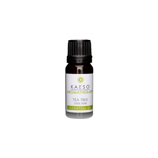 Kaeso - Aromatherapy Essential Oil - Tea Tree