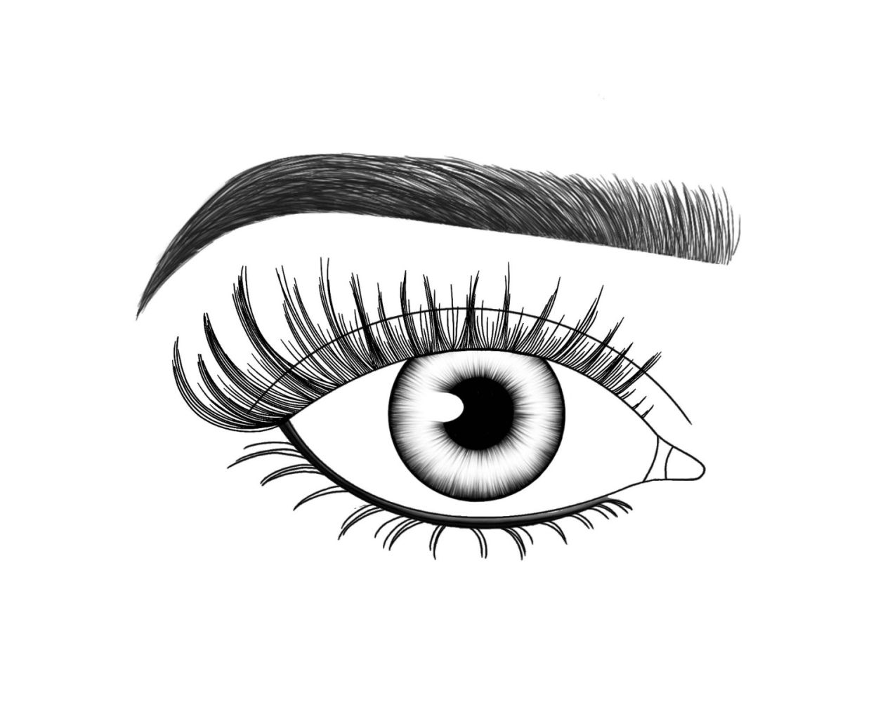 Lash FX Press & Go Pre-Glued Lashes - St Tropez