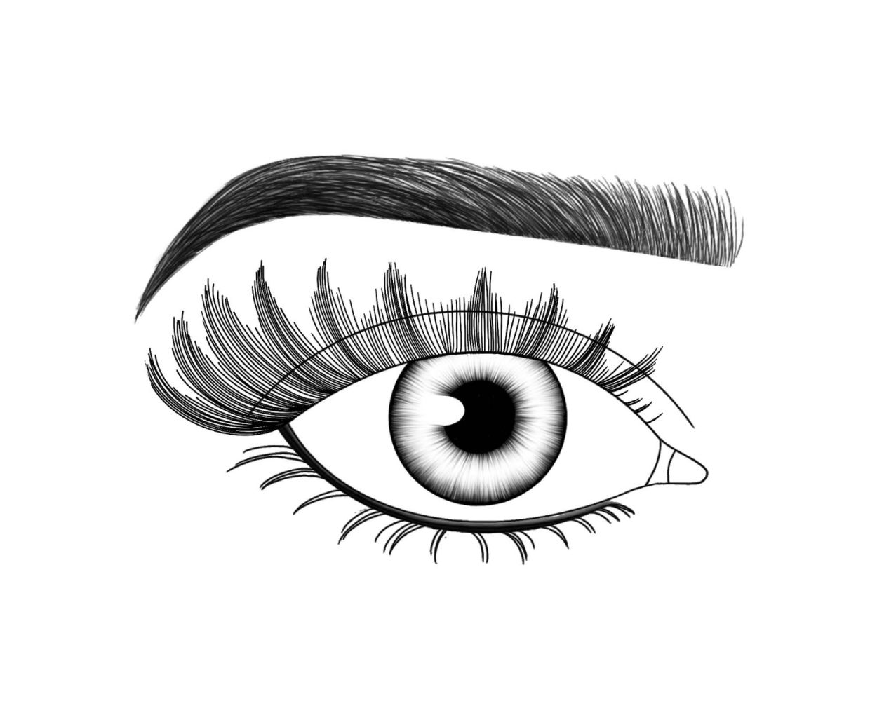 Lash FX Press & Go Pre-Glued Lashes - Vienna