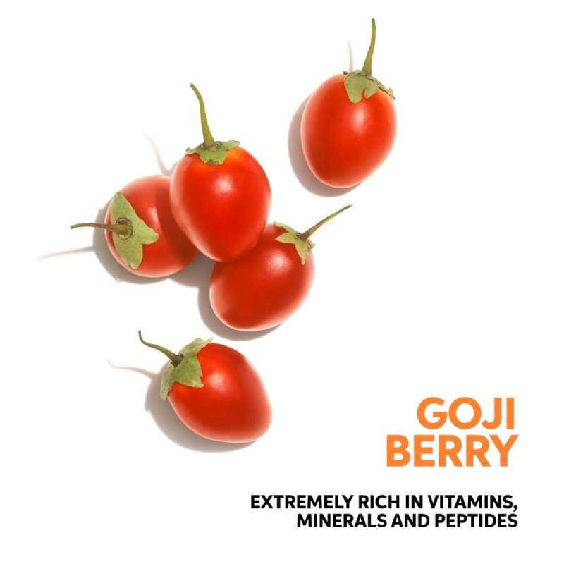Goji berries on a white background with text highlighting their nutritional value. wella Nutri-Enrich