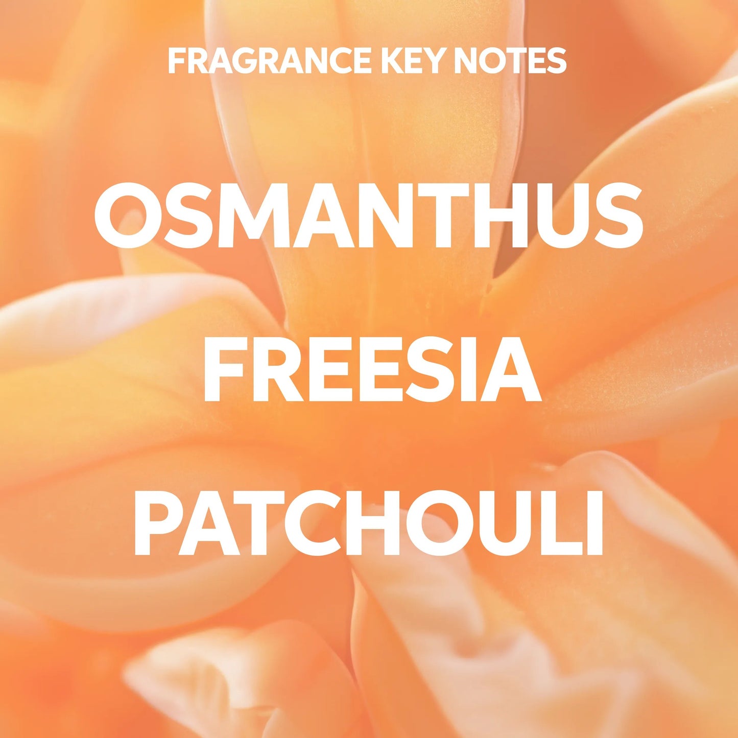 Fragrance key notes text overlay on a floral background with 'Osmanthus', 'Freesia', and 'Patchouli'. wella Nutri-Enrich