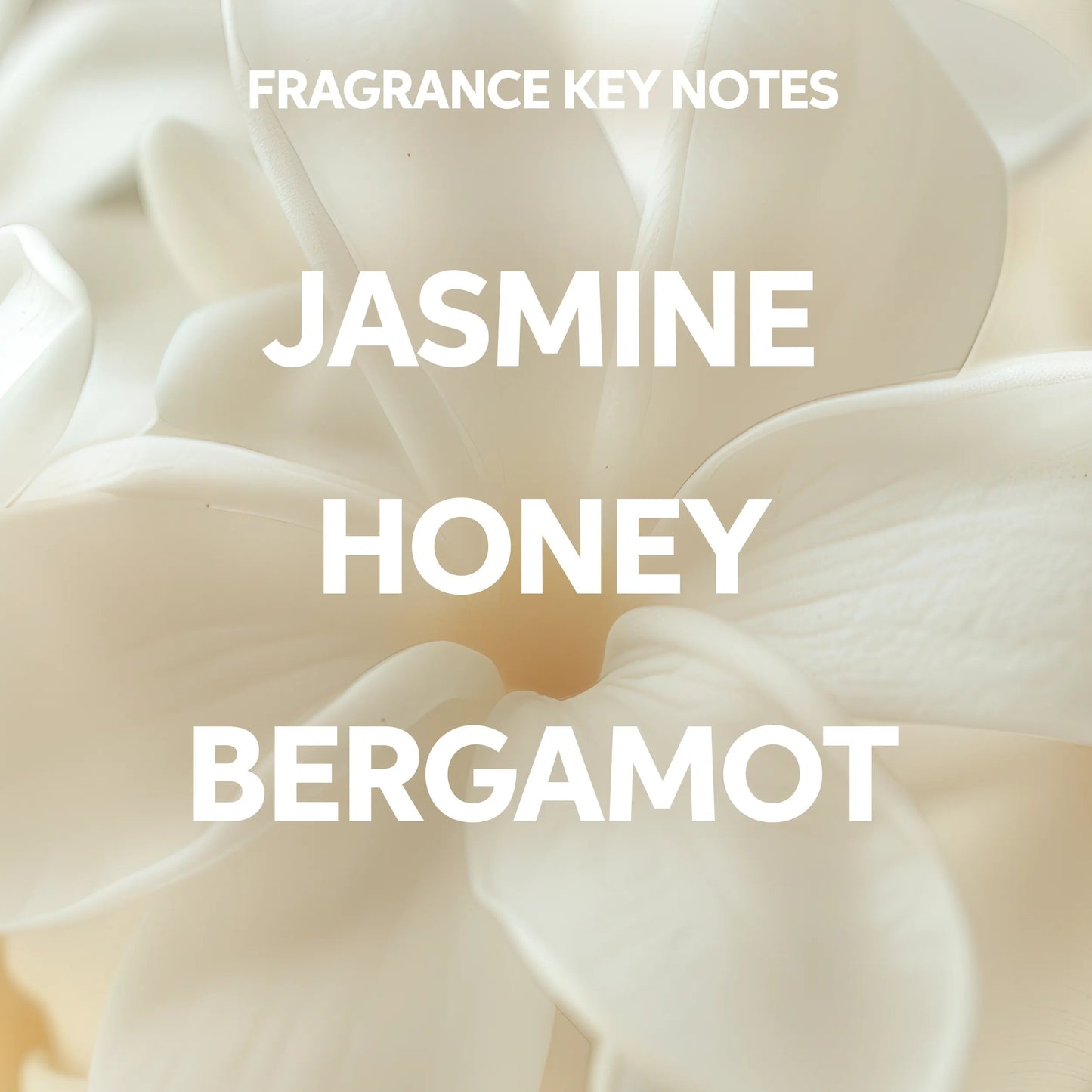 Close-up of white flowers with text overlaying 'FRAGRANCE KEY NOTES' and 'JASMINE HONEY BERGAMOT'. for wella color brilliance