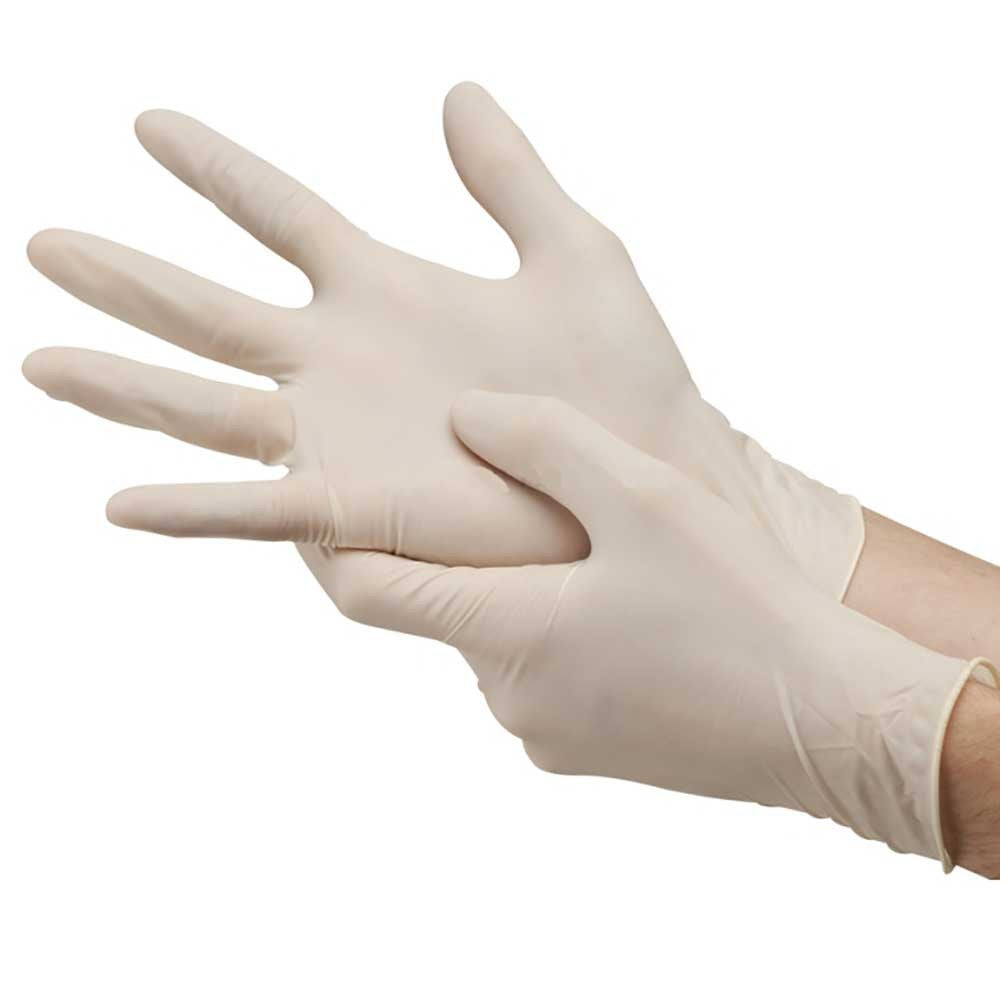 Latex Gloves Powdered (100)