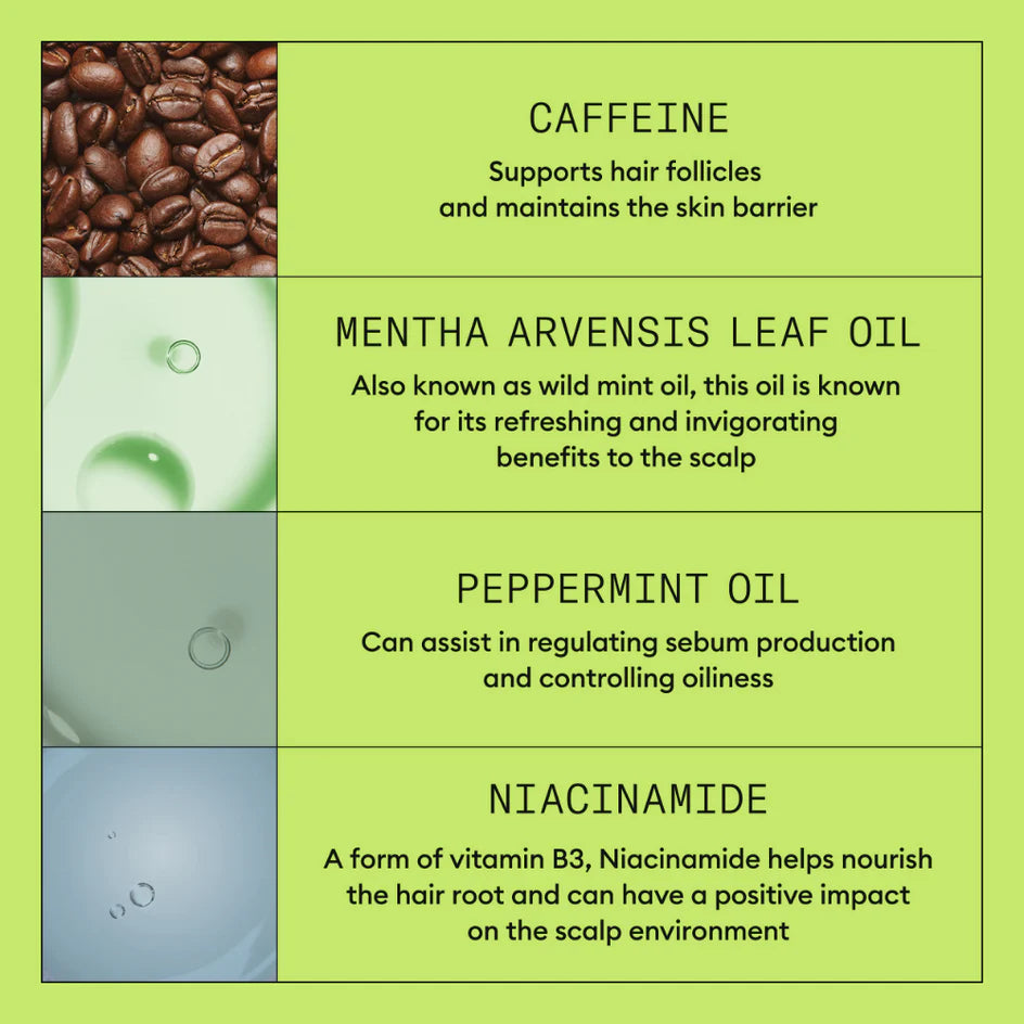 Chart detailing the benefits of caffeine, mentha arvensis leaf oil, peppermint oil, and niacinamide on hair and scalp.